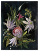 "Flower Show I" Digital Paper Print by Julia Purinton, 38"x50"