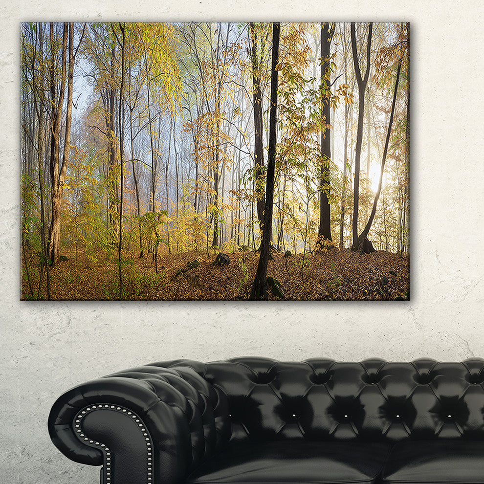 "Green Autumn Forest in Morning" Landscape Canvas Photo Print, 40"x30"