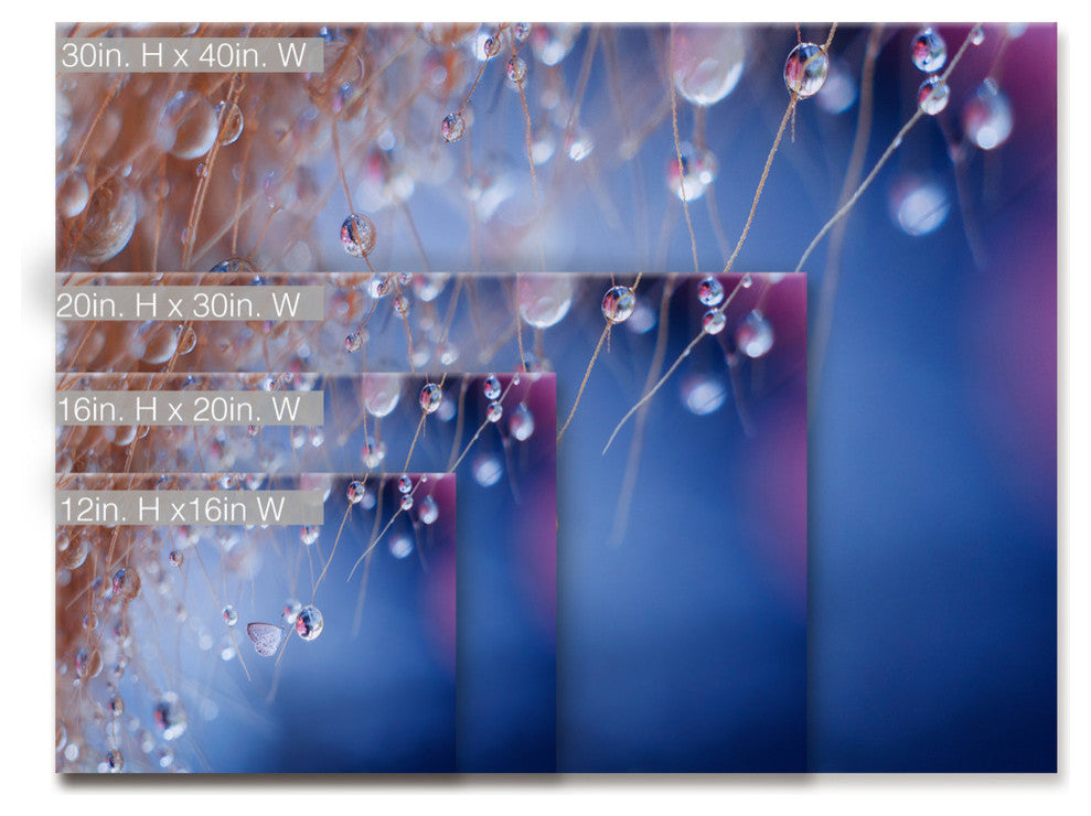 Ready2HangArt 'Droplets' Wrapped Canvas Wall Decor, 16"x12"