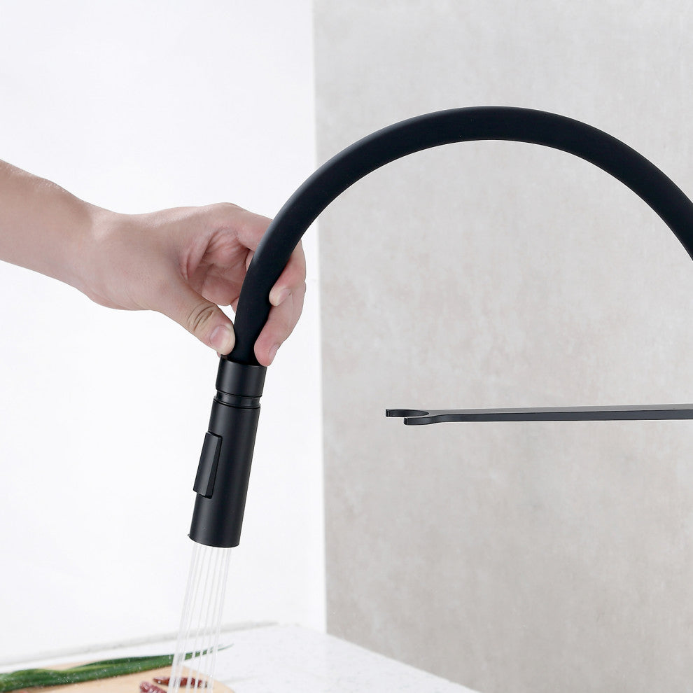 Single Handle Deck Mounted High Arc Pull Out  Kitchen Faucet