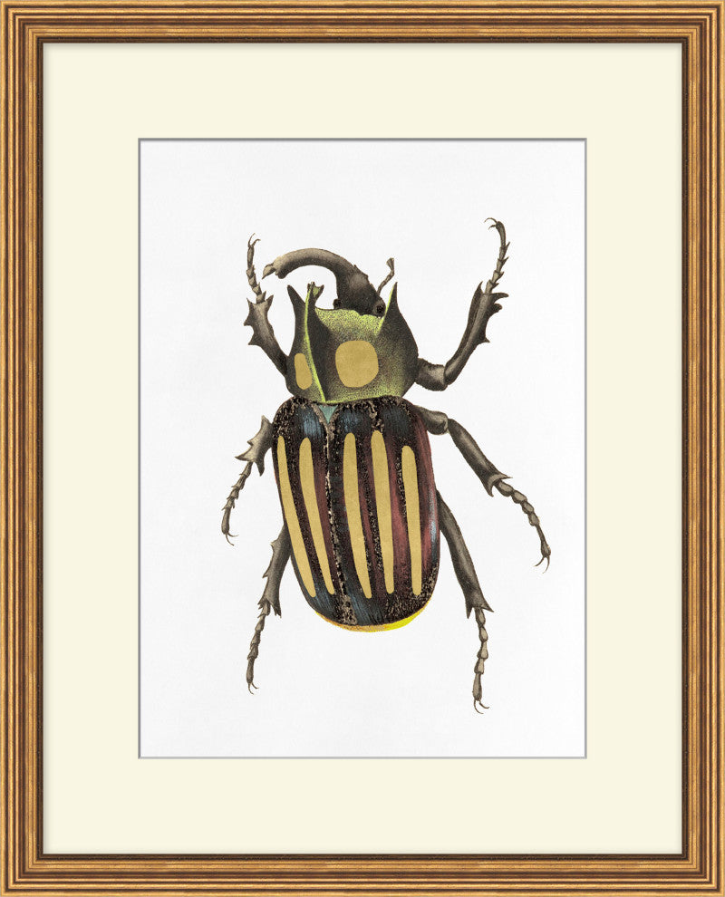 Gilded Beetle 5, Giclee Reproduction Artwork