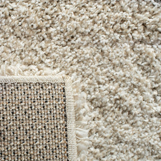 Safavieh  Hudson Shag Collection SGH281 Rug
