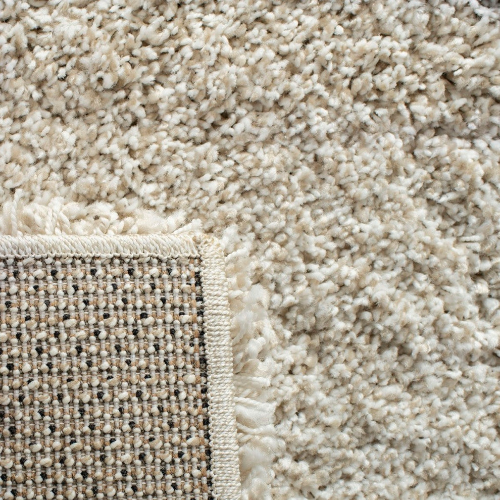 Safavieh  Hudson Shag Collection SGH281 Rug