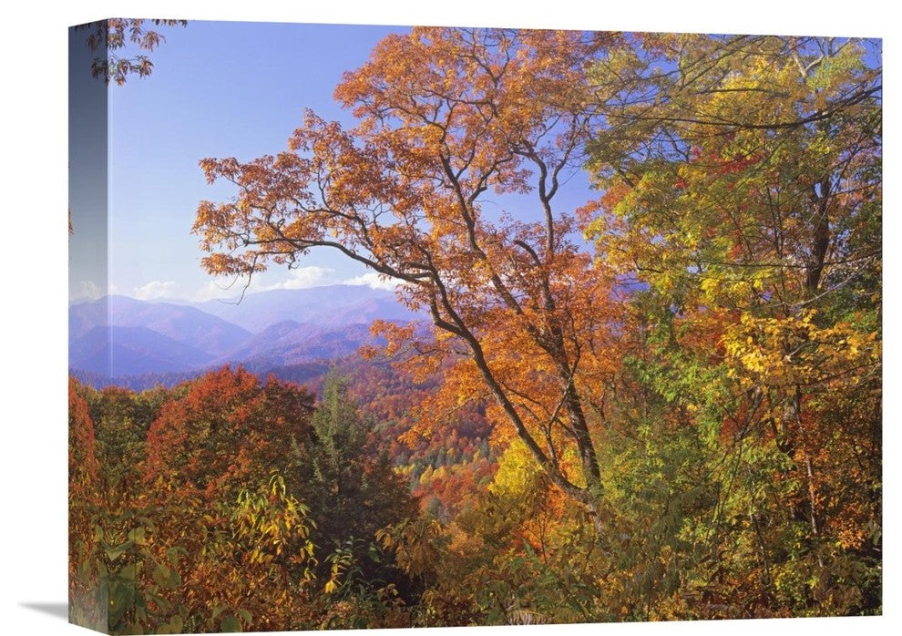 "Great Smoky Mountains From, Blue Ridge Parkway, North Carolina" Artwork