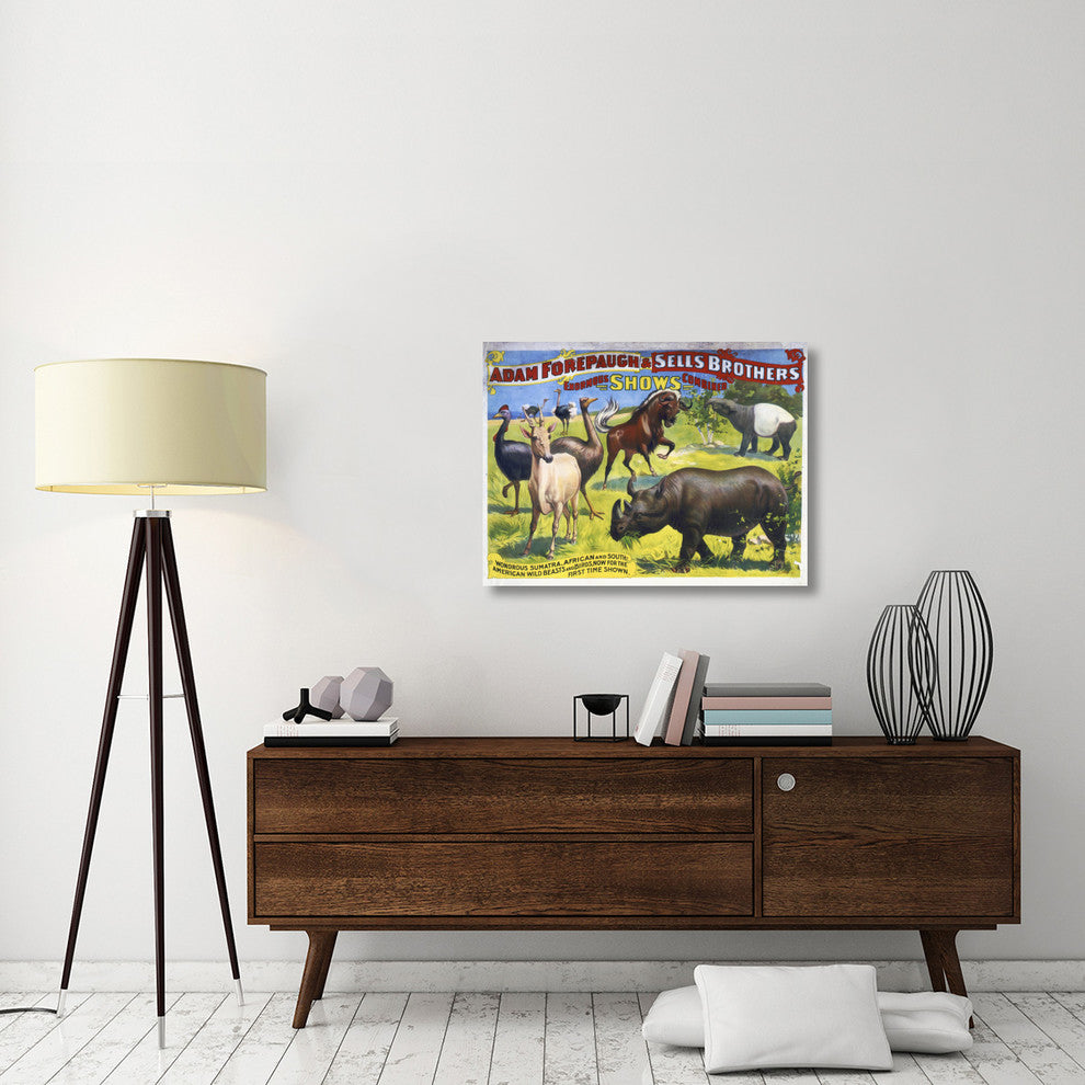 American Wild Beasts And Birds, 36x27