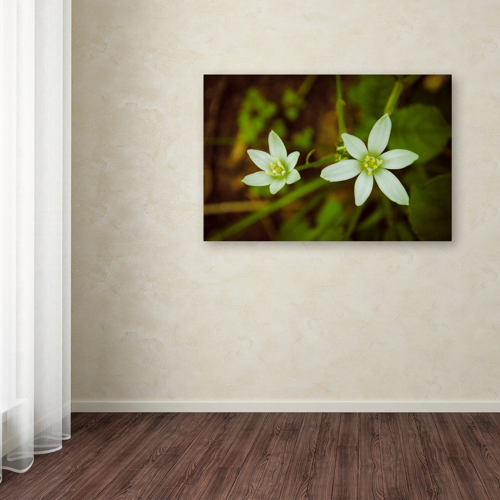 PIPA Fine Art 'Wild Beauty' Canvas Art, 19x12