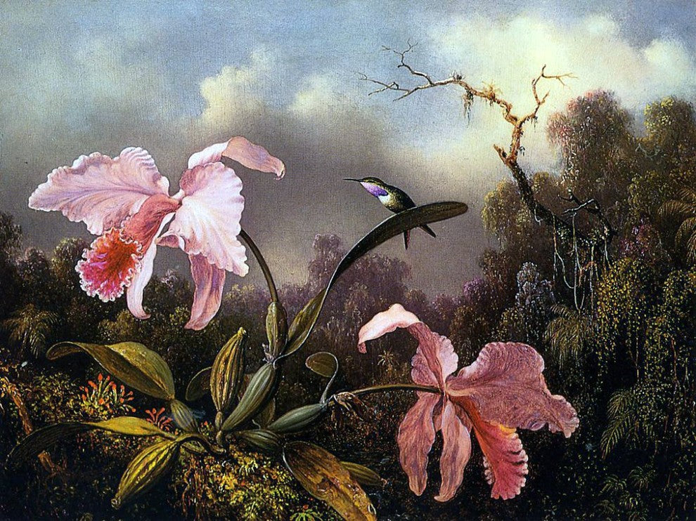 Tile Mural Orchid By Martin Johnson Heade, 6"x8", Glossy