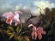 Tile Mural Orchid By Martin Johnson Heade, 6"x8", Glossy