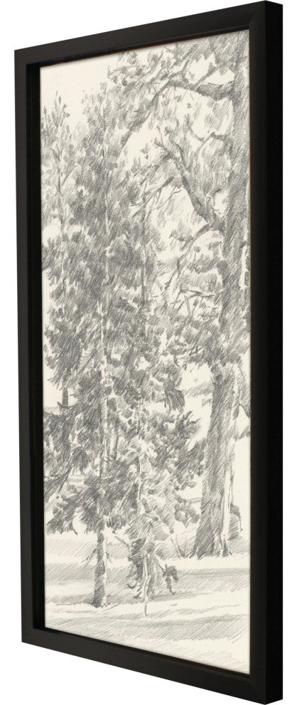 Tree Study II