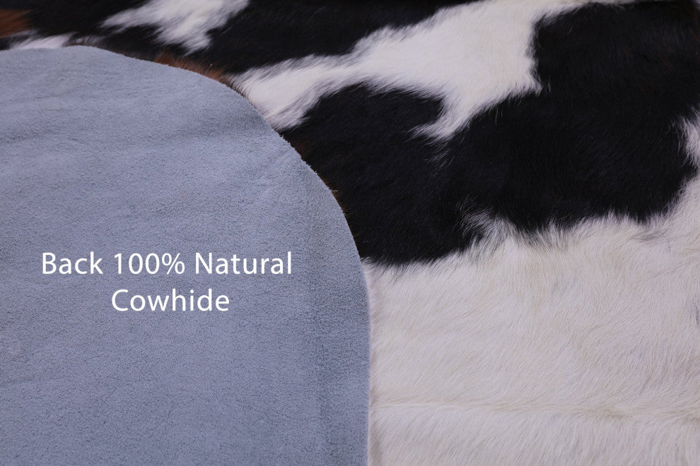 7' 3" X 6' 0" Tricolor Natural Cowhide Rug C2419