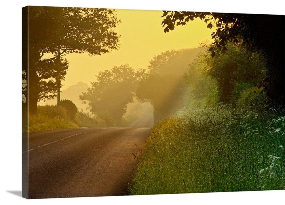 "The Road Not Taken" Wrapped Canvas Art Print, 24"x16"x1.5"