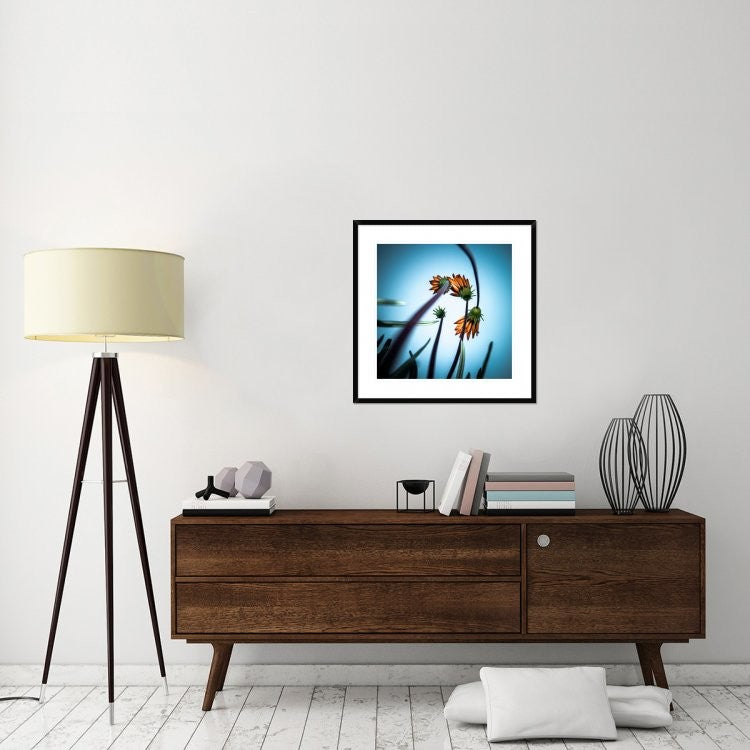 "Flowerlove" Framed Digital Print by Fgr100, 30x30"