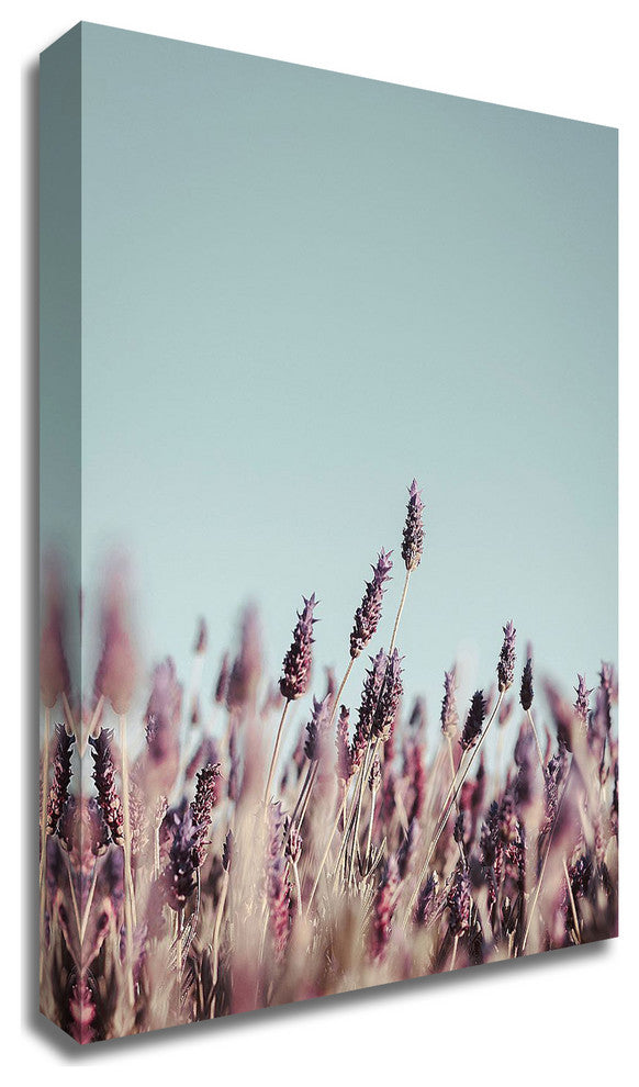 Field Haze by Design Fabrikken, Print on Canvas, 20"x28"