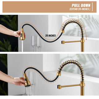 Single Handle Kitchen Faucet Pull-Down Sprayer, 360 Swivel, Three Functions, Brushed Gold