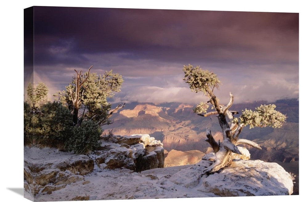 "South Rim, Grand Canyon National Park, Arizona" Artwork