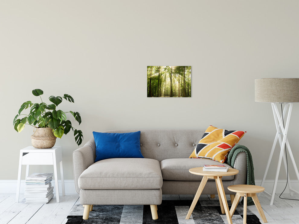 Sun Rays Through Tree Tops Rural Landscape Photo Canvas Wall Art Print, 12" X 16"