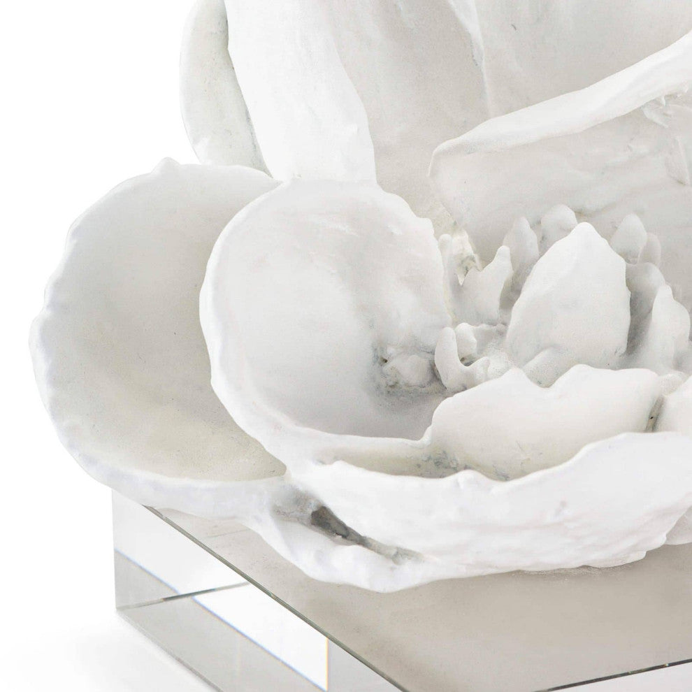 Magnolia Objet, White