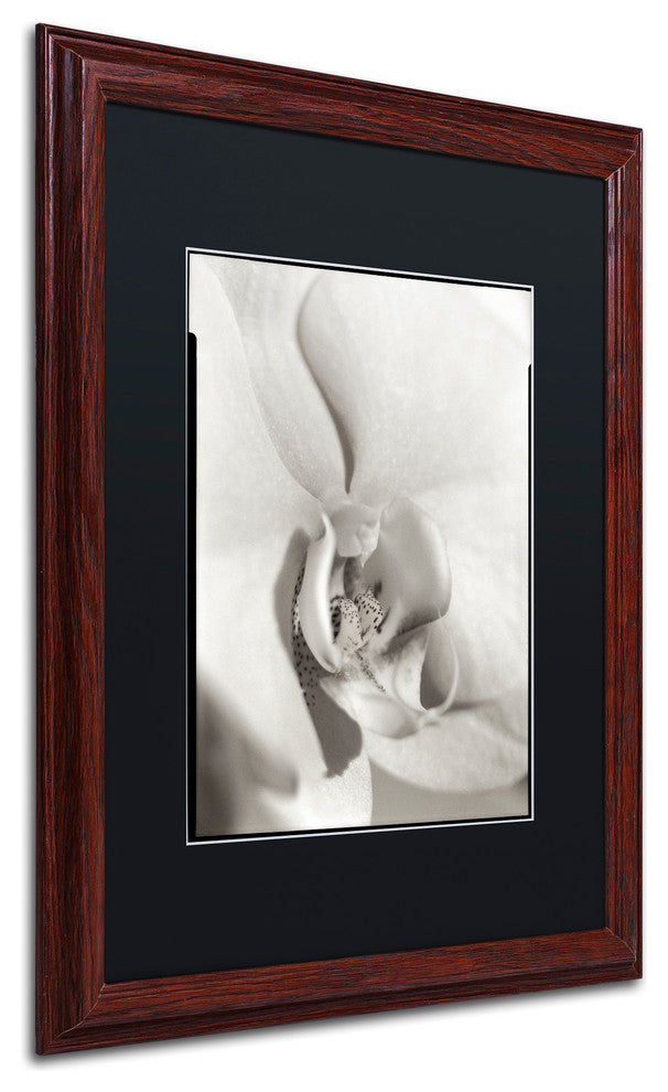Alan Blaustein ''Florison 22'' Art, Wood Frame, Black Mat, 16x20
