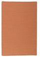 Simply Home Solid H073 Rust Indoor/Outdoor Area Rug, Rectangular 2'x6'