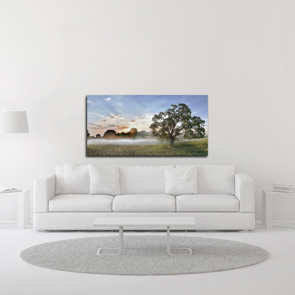 Sonoma Oak #3 by Alan Blaustein, Print on Canvas, 36"x18"