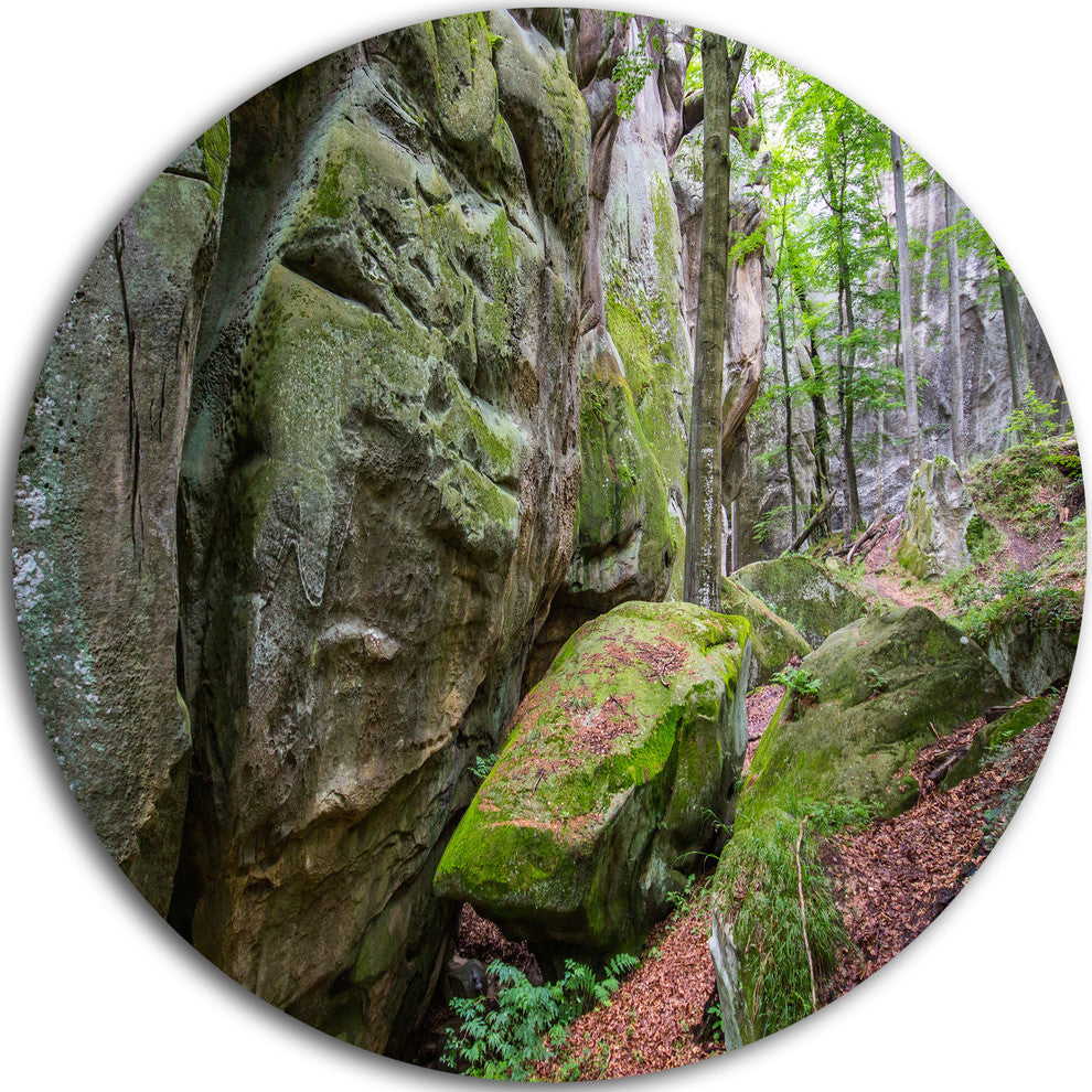 Wild Deep Moss Forest Ukraine, Landscape Large Disc Metal Wall Art, 23"