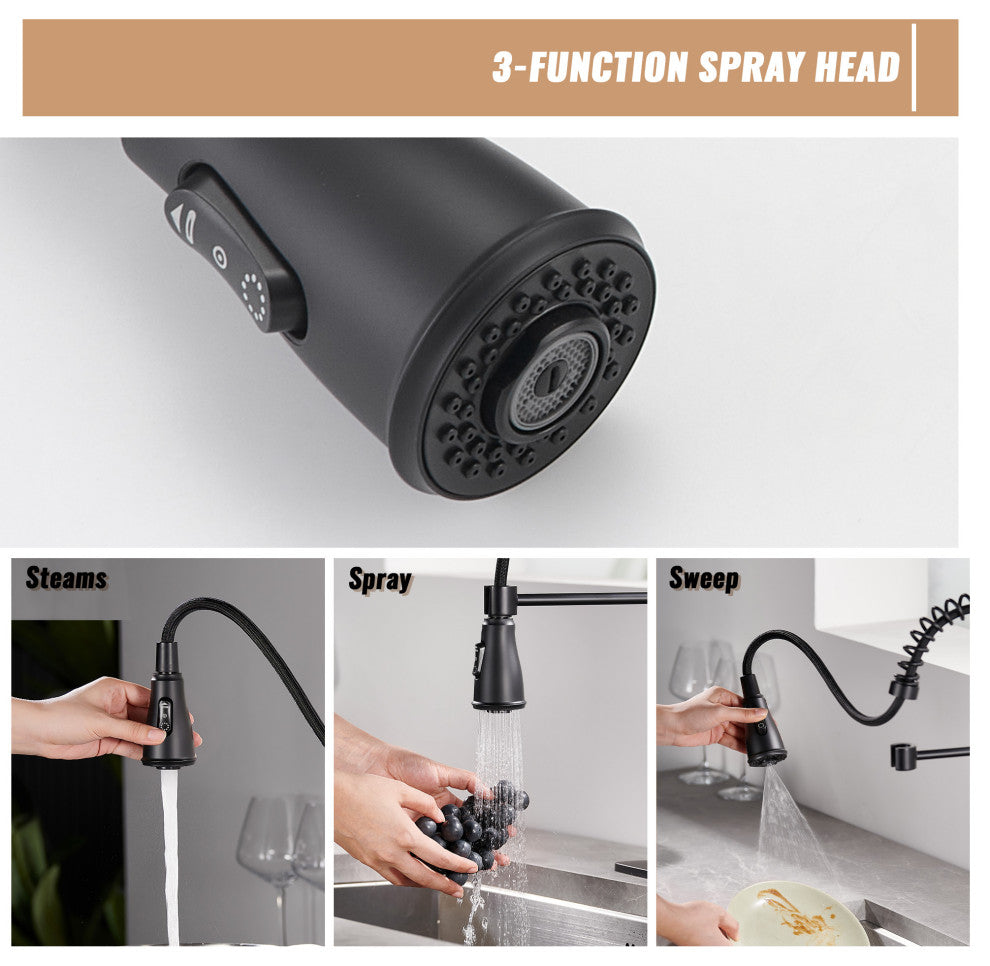 Single Handle Kitchen Faucet Pull-Down Sprayer, 360 Swivel, Three Functions, Matte Black
