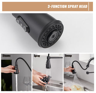 Single Handle Kitchen Faucet Pull-Down Sprayer, 360 Swivel, Three Functions, Matte Black
