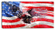 "American Eagle and Flag" Canvas Painting
