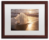 Michael Blanchette Photography 'Ice Tulip' Art, Wood Frame, White Matte, 20"x16"