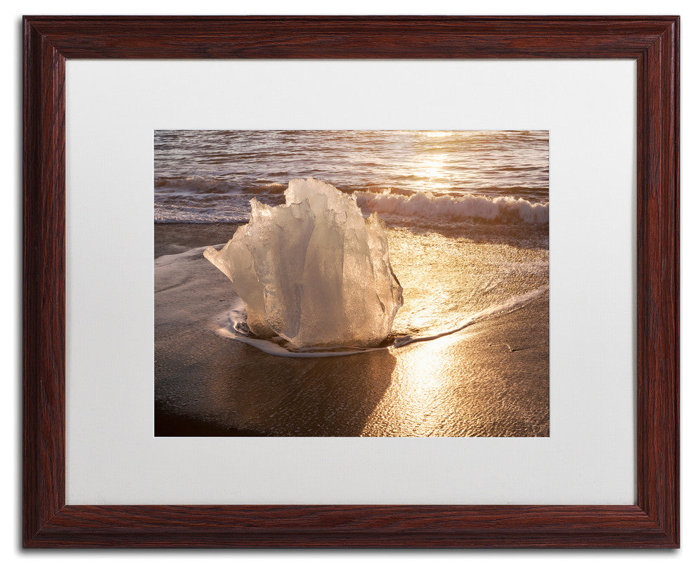Michael Blanchette Photography 'Ice Tulip' Art, Wood Frame, White Matte, 20"x16"