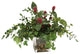 WaterlookÂ® Mixed Greenery, Plum Berries in Glass Cube
