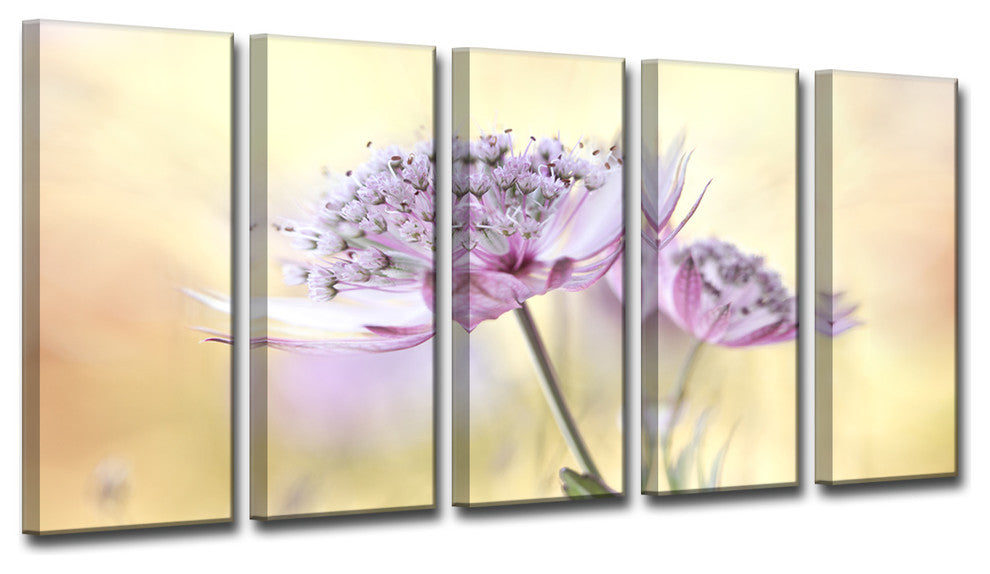 Ready2HangArt 'Pink Astrantia' 5-Piece Canvas Wall Decor Set
