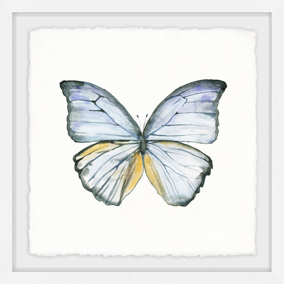 "Blue Lace Wings" Framed Painting Print, 18"x18"