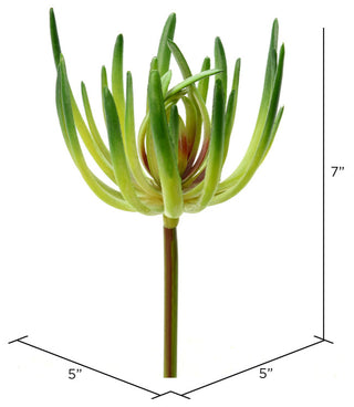 Image includes measurement lines/dimensions overlay, making it instructional content.