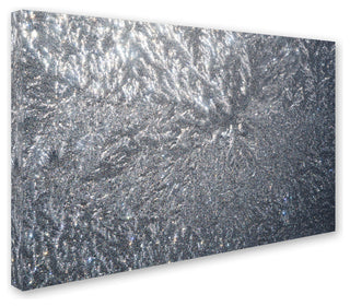 'Sunlight Frost Abstract' Canvas Art by Kurt Shaffer
