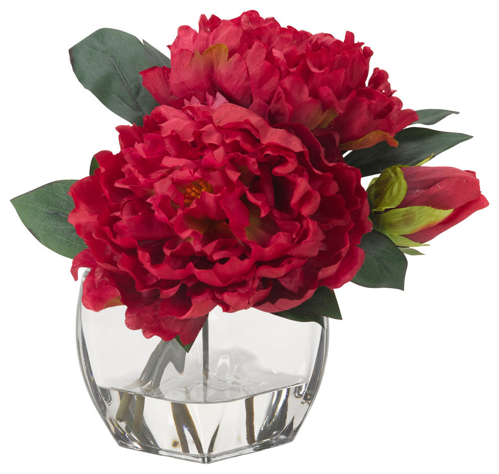 Beauty peonies in glass cube