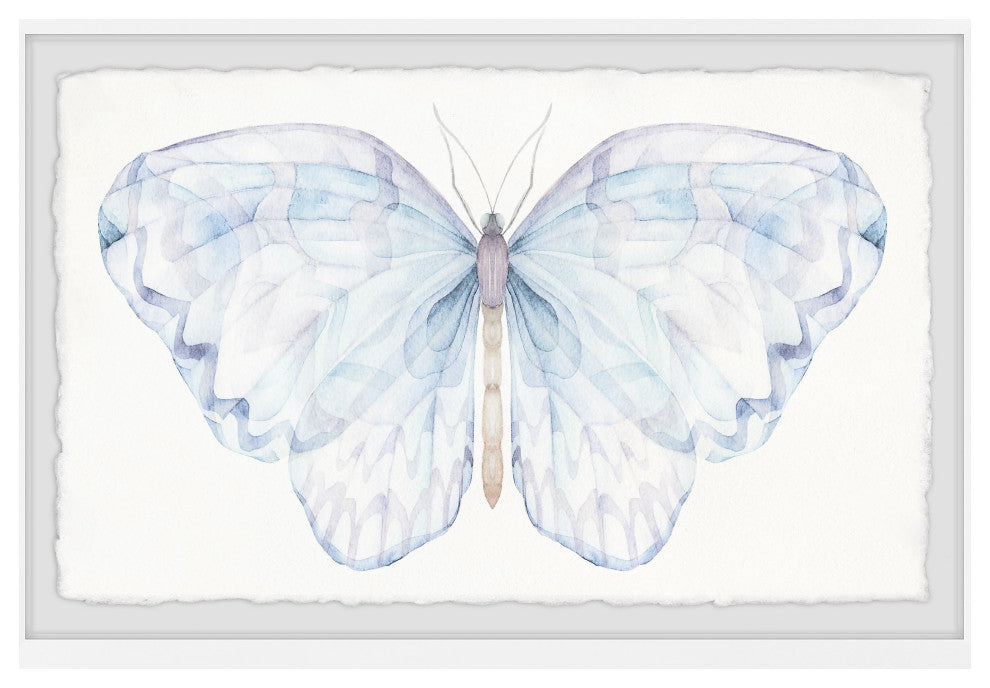 "I Love Butterflies" Framed Painting Print, 12x8