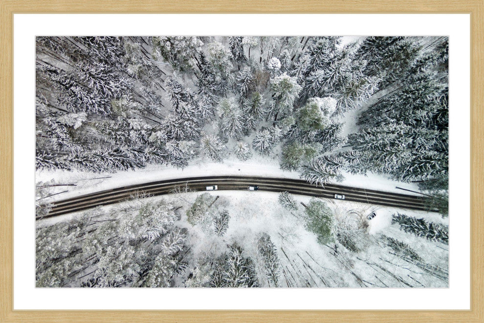 "Icy Firs" Framed Print by Karolis Janulis