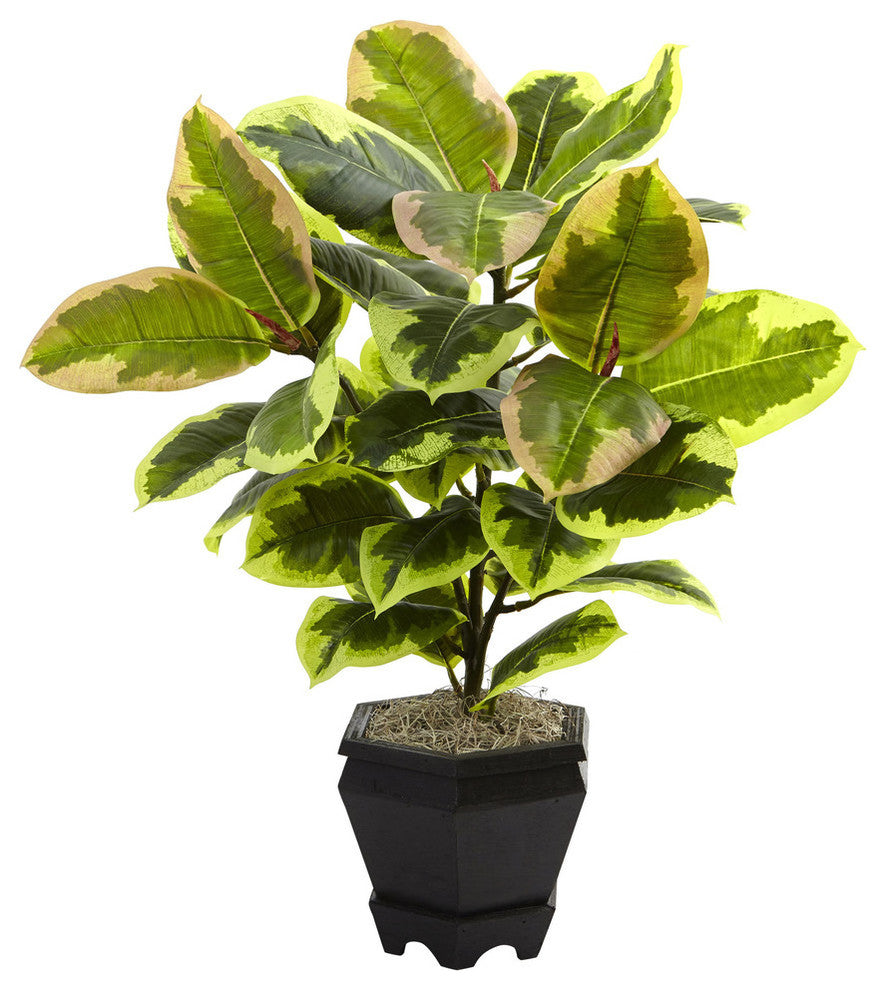 22" Variegated Rubber Leaf Plant With Wood Planter, Green