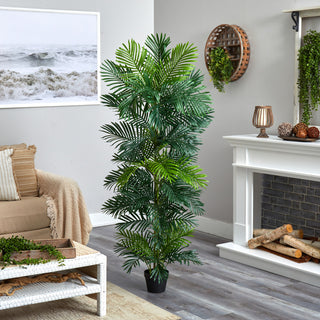 Lifestyle image in living room setting with plant fully visible.