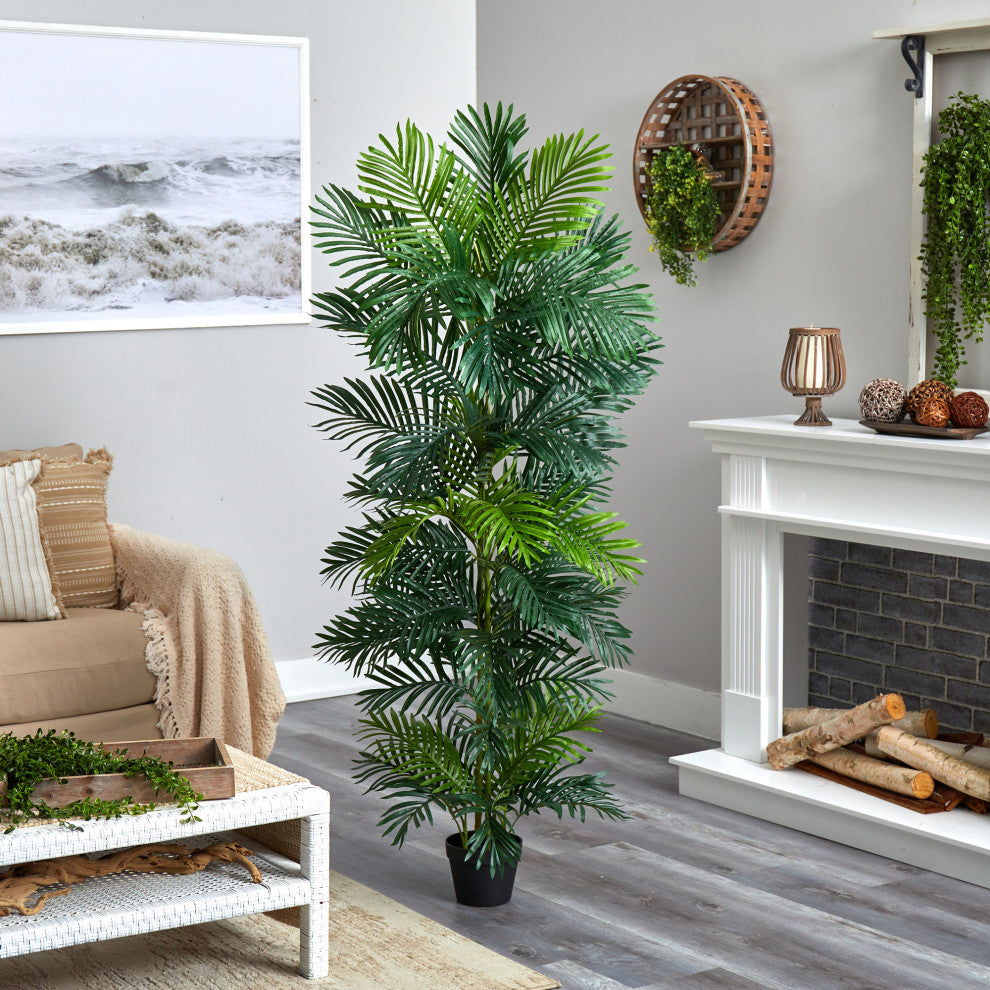 Lifestyle image in living room setting with plant fully visible.