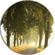 Country Road Below Green Trees, Landscape Round Metal Wall Art, 11"