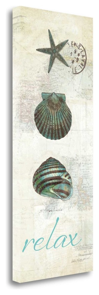 "Touch Of Blue Shells I" By Katie Pertiet, Giclee Print on Gallery Wrap Canvas