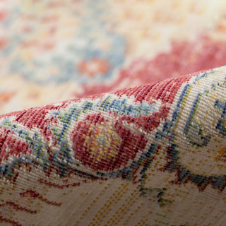Ceniscia Haven Vintage Polyester Area Rug, Red, 2'6"x8'