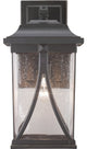 Abbott Collection 1-Light Large Wall Lantern, Antique Bronze
