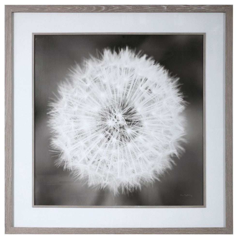 Uttermost Dandelion Seedhead Framed Print