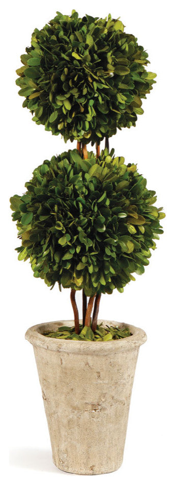Boxwood Double Sphere Topiary, 20"