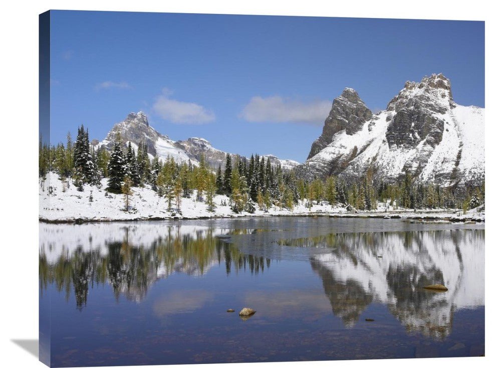 "Wiwaxy Peaks And Cathedral Mountain, Yoho National Park, BC, Canada" Artwork