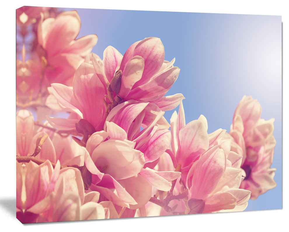 Magnolia Flowers on Sky Background, Floral Canvas Art Print, 60"x28"
