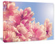 Magnolia Flowers on Sky Background, Floral Canvas Art Print, 60"x28"